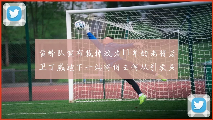 黄蜂队宣布裁掉效力11年的老将后卫丁威迪下一站将何去何从引发关注