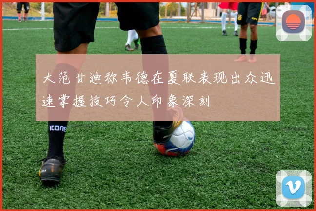 大范甘迪称韦德在夏联表现出众迅速掌握技巧令人印象深刻
