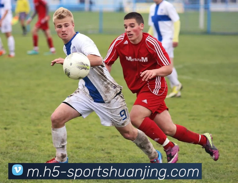 冠竞体育服务体系